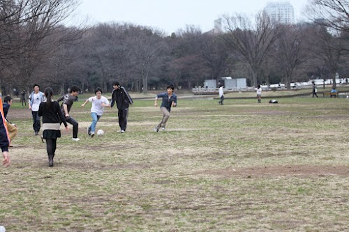 第5回合同合宿の写真